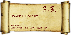 Haberl Bálint névjegykártya