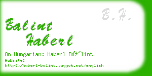 balint haberl business card